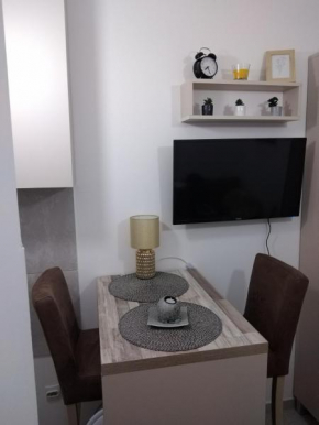 Studio vitez